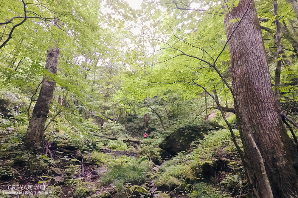 2018.10.05 | 行走在日本東北 | 用雙腳初識福島,這是我五天四夜的路徑線索 25
