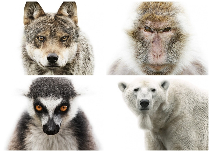 20130113| 看我的歐行腿| 85天,一個小女生瘋狂行走歐洲16國 02