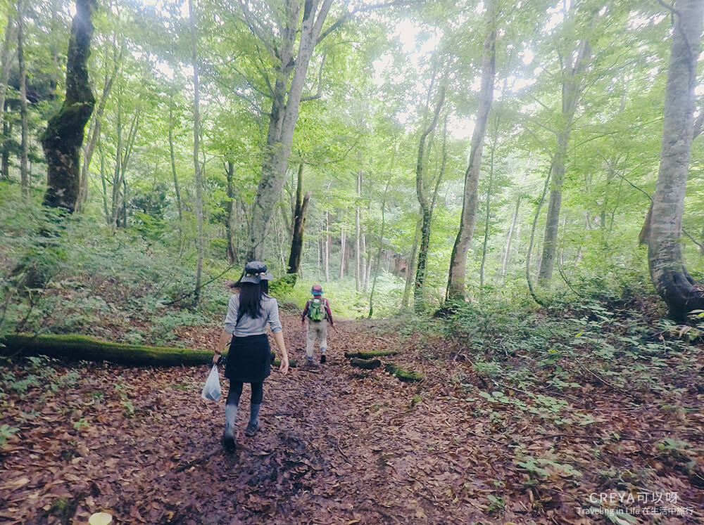 20181018 | 行走在日本東北 | 治癒之森的一堂生命課程,健行在自然首都的福島只見町 13.jpg
