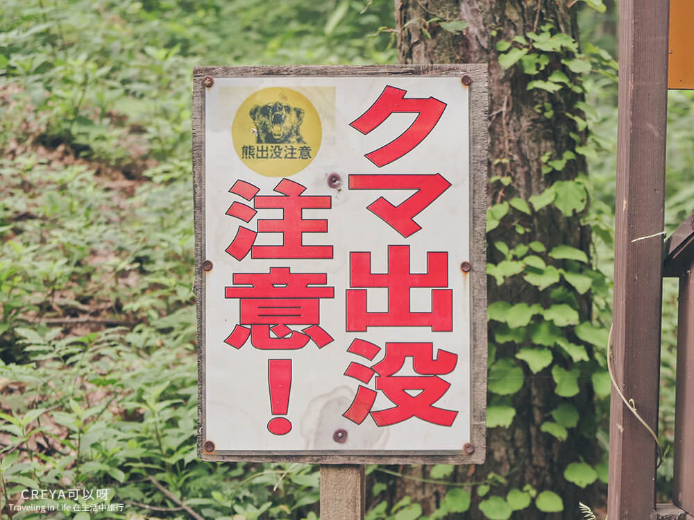 20181018 | 行走在日本東北 | 治癒之森的一堂生命課程,健行在自然首都的福島只見町 22.jpg