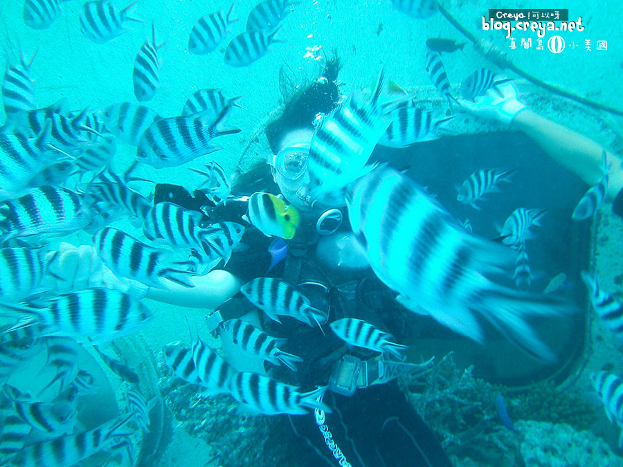 2015.08.09 | 真關島小美國| 關島是什麼樣的地方?六天四夜自由行規劃報你知 07.jpg