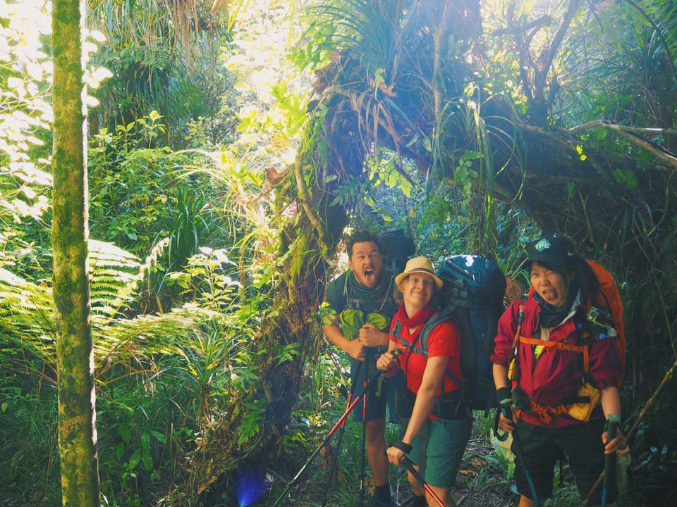 NZ_TA_170105_2.jpg