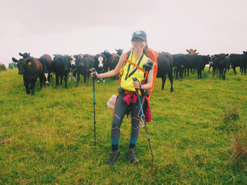 NZ_TA_170123_1.jpg