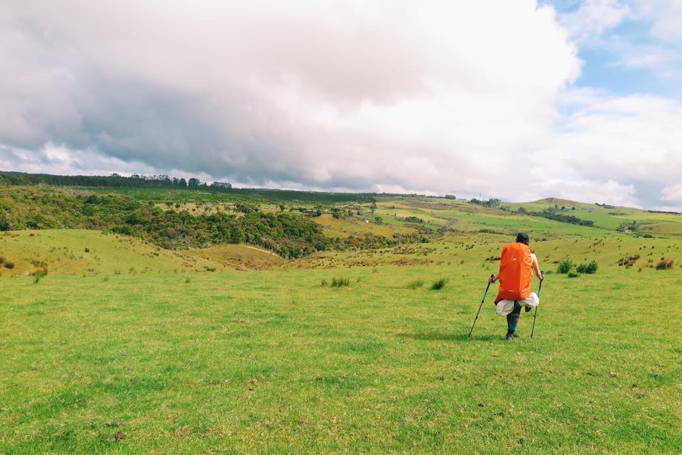 NZ_TA_171208_1.jpg