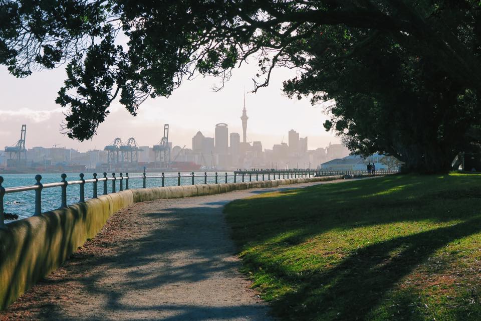 NZ_TA_170409_1.jpg