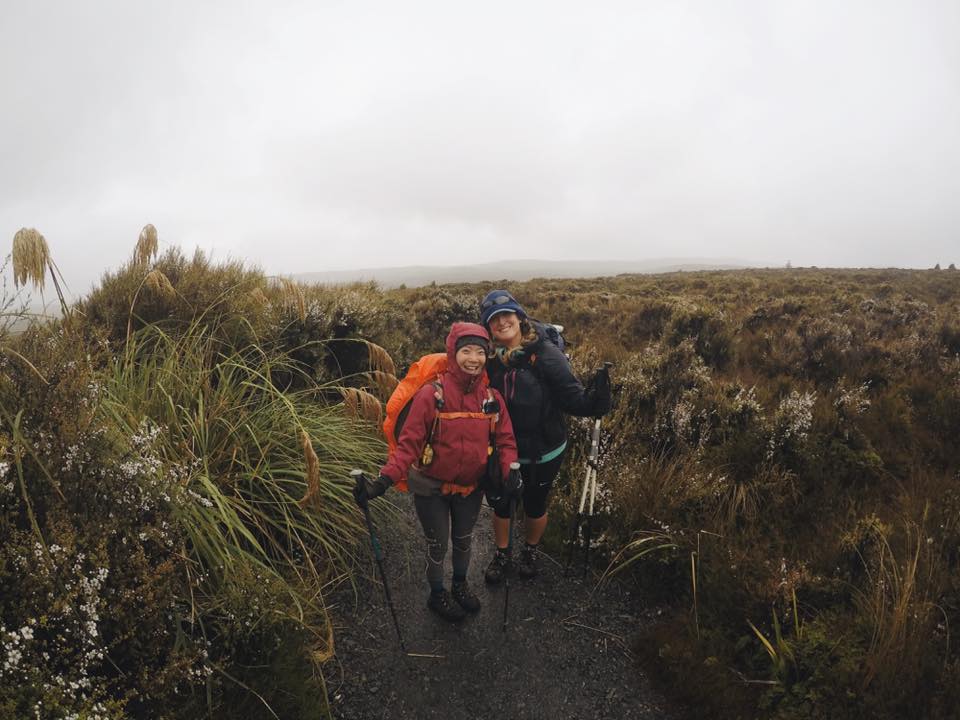NZ_TA_170511_1.jpg