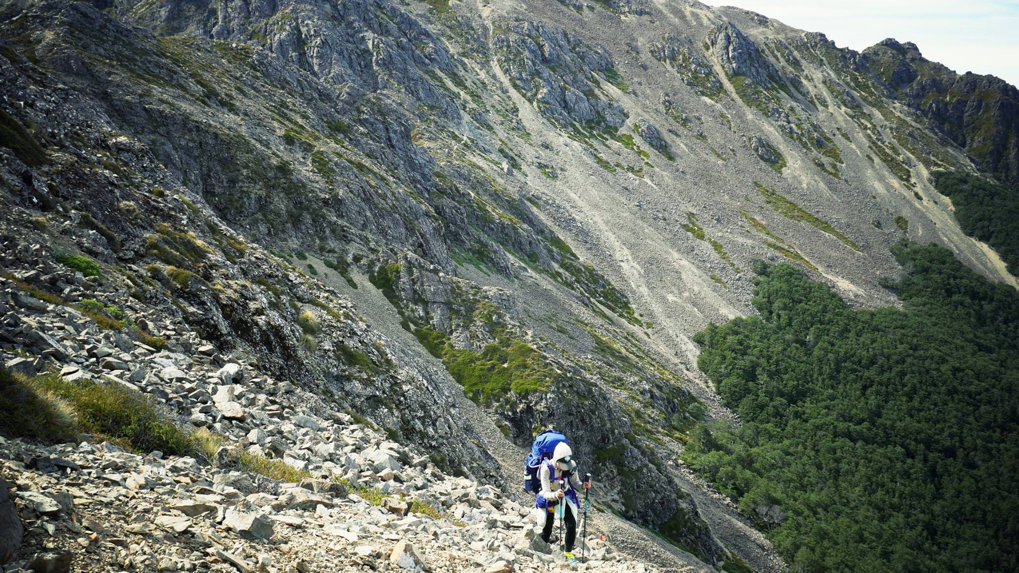 NZ_TA_170718_3.jpg