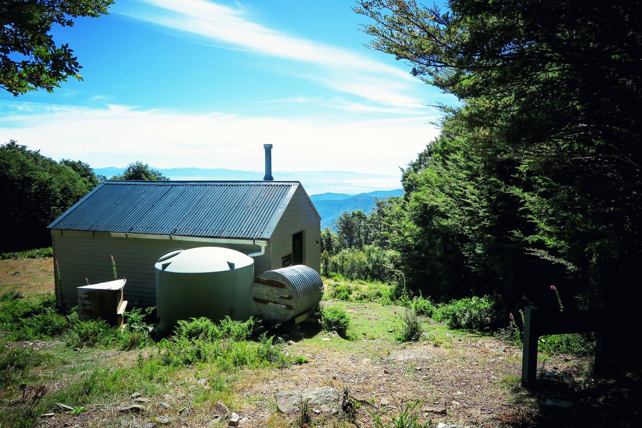 NZ_TA_170718_4.jpg