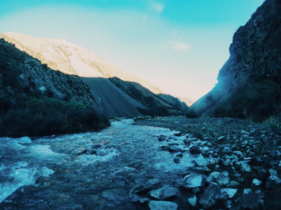 NZ_TA_180111.jpg