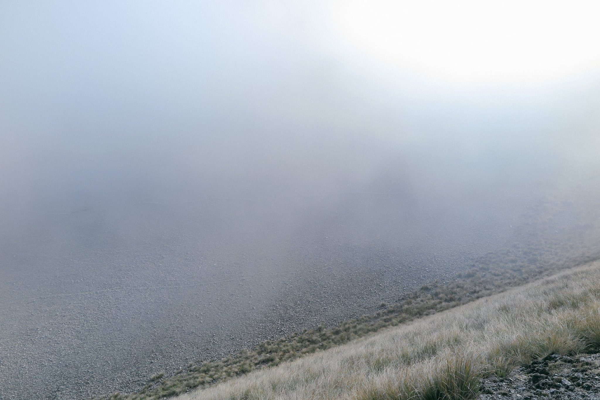 NZ_TA_180117_4.jpg