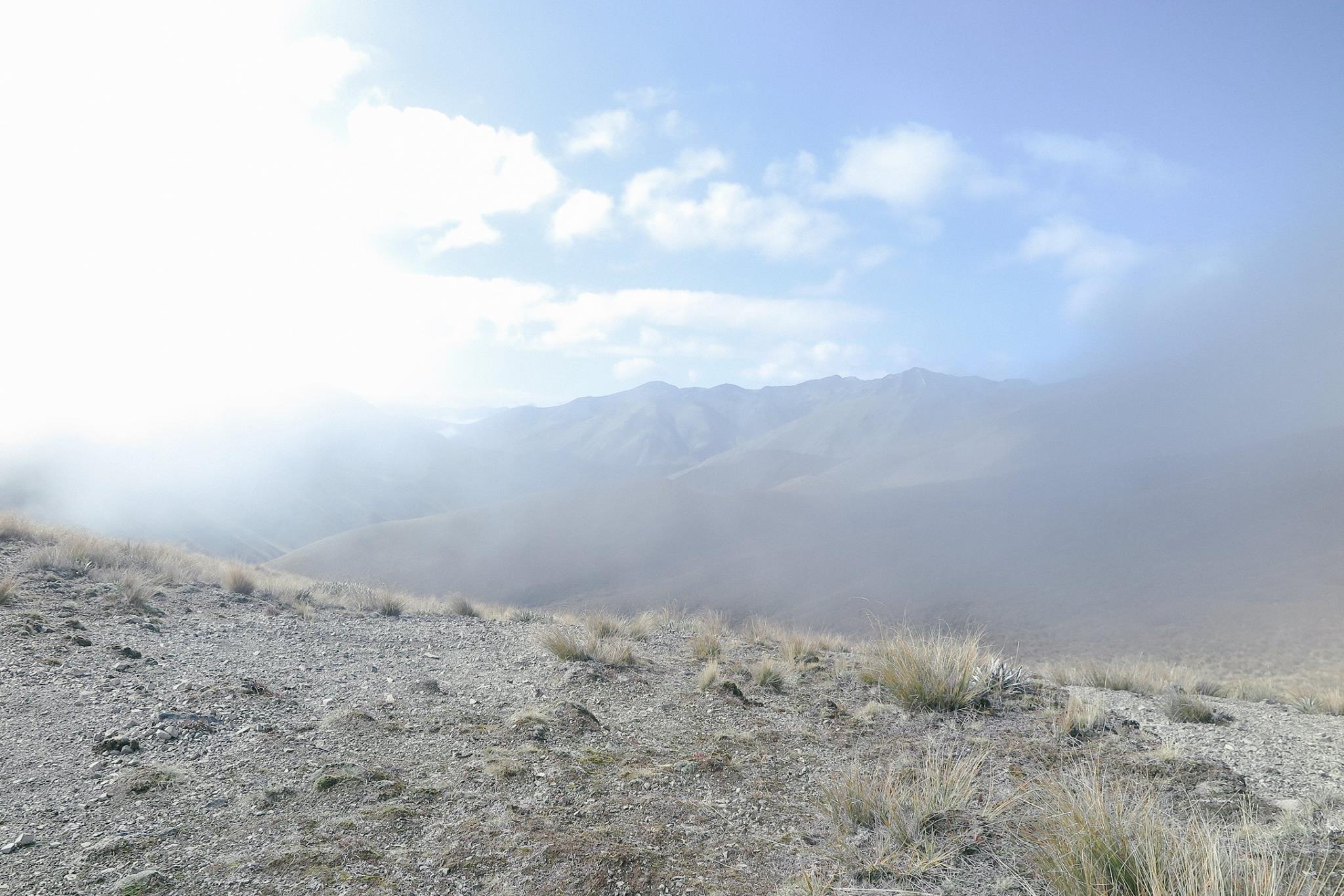 NZ_TA_180117_5.jpg