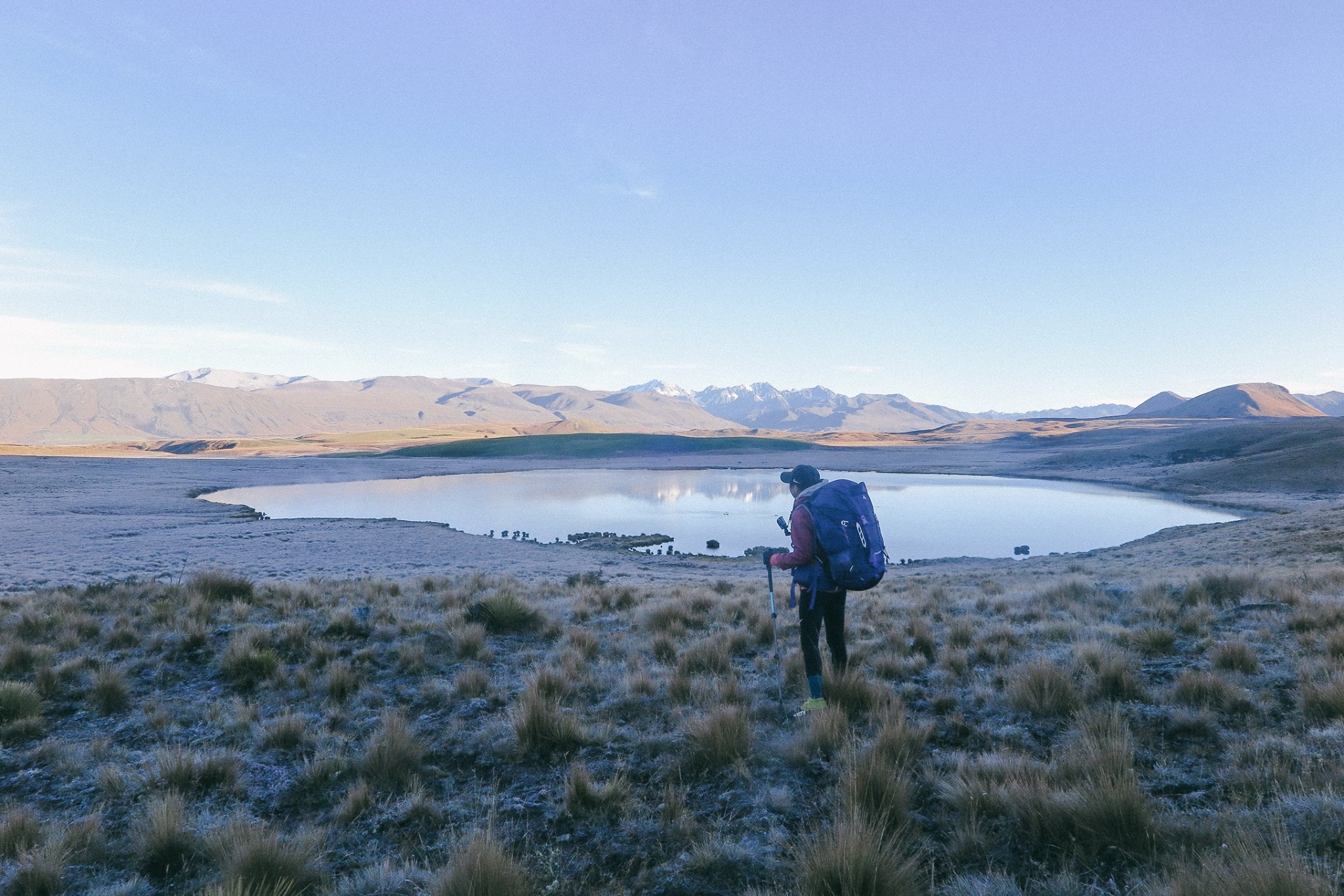 NZ_TA_180204.jpg