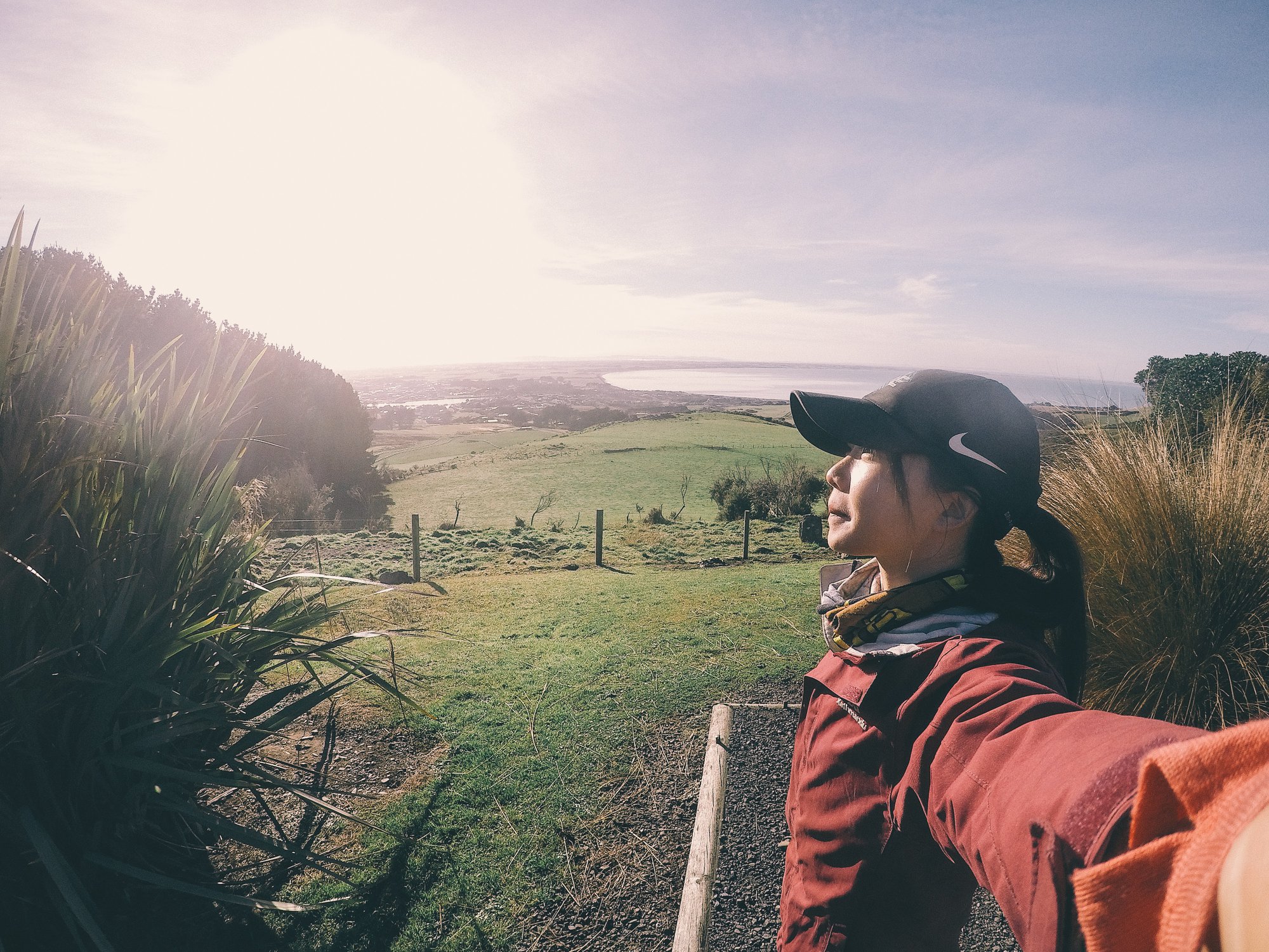 NZ_TA_180503.jpg