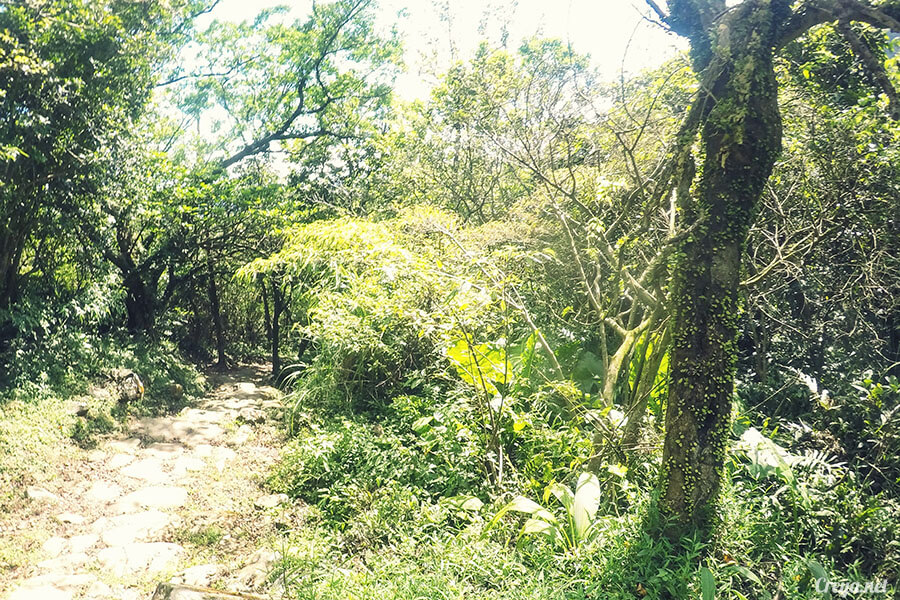 2017.09.01 | 我有鄉台腳| 旅人的移動,草嶺古道 16.jpg