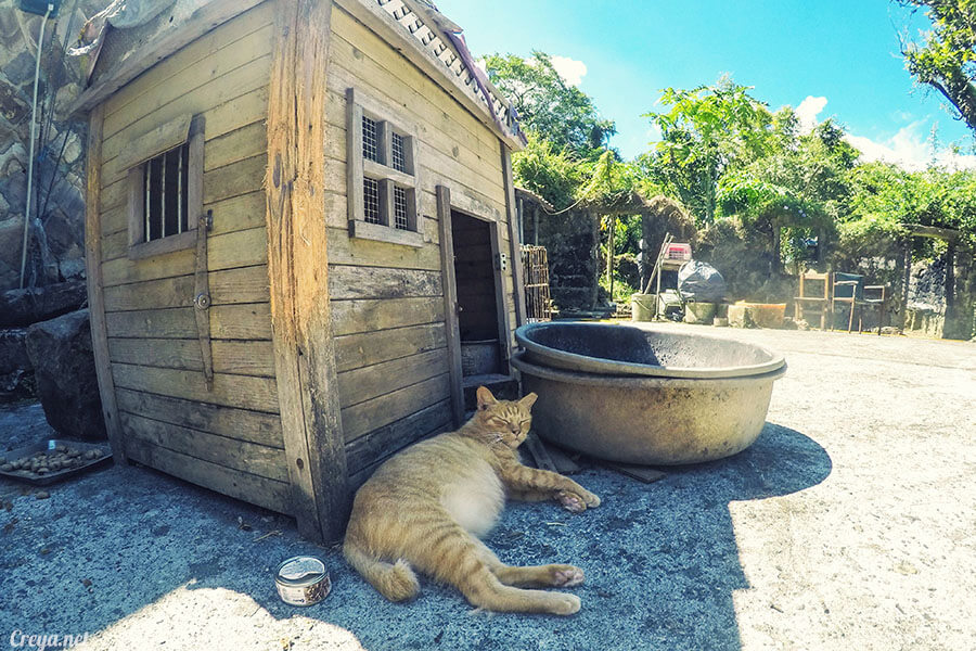 2017.09.01 | 我有鄉台腳| 旅人的移動,草嶺古道 08.jpg