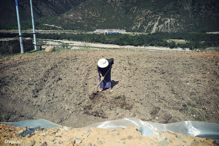 2015.12.29 | Tibet 西藏踢北去 | 身心大突破的公路之旅,從拉薩一路向東到林芝(上集 - 米拉山口與如廁記) 29.jpg