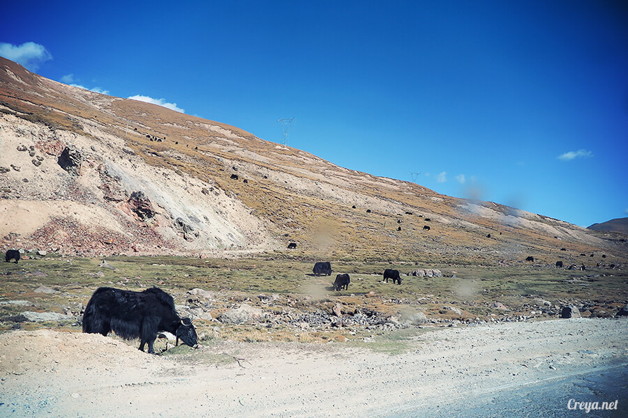 2015.12.29 | Tibet 西藏踢北去 | 身心大突破的公路之旅,從拉薩一路向東到林芝(上集 - 米拉山口與如廁記) 07.jpg