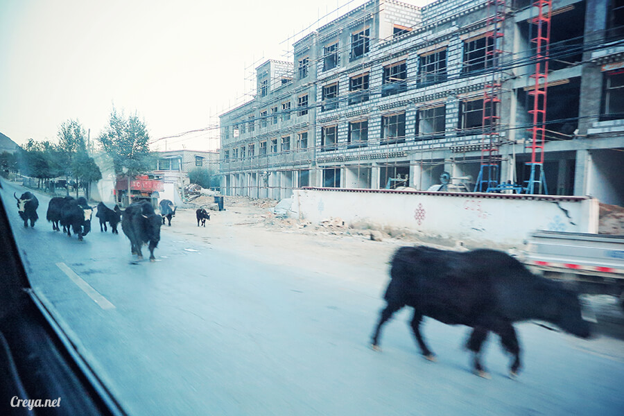2015.12.29 | Tibet 西藏踢北去 | 身心大突破的公路之旅,從拉薩一路向東到林芝(上集 - 米拉山口與如廁記) 08.jpg