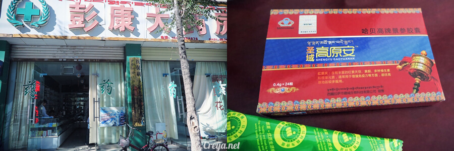 2015.11.15 | Tibet 西藏踢北去 | 終於踏上拉薩,吸著傳說中的稀薄氧氣與高山症對決 13.jpg