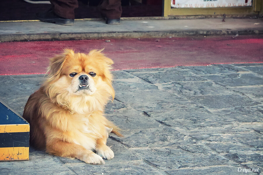 2015.12.09 | Tibet 西藏踢北去 | 尋找藏人真正的拉薩中心,被信仰力量震撼的大昭寺與舊城區 02.jpg