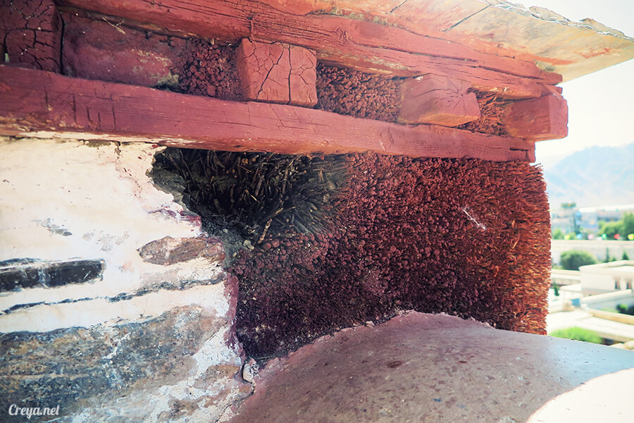 2015.12.04| Tibet 西藏踢北去 | 藏人的精神殿堂布達拉宮,但或許不只我們高山反應沒精神…11.jpg