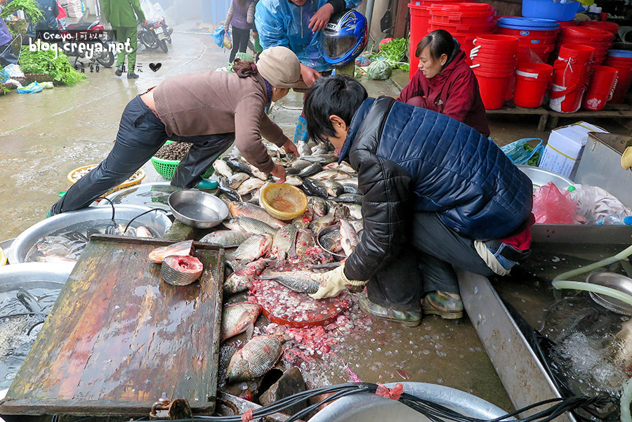 2015.04.19| 越南情願一直玩| 踏入北越少數民族村Sapa沙壩的九景有法子 之 市集篇 17.jpg
